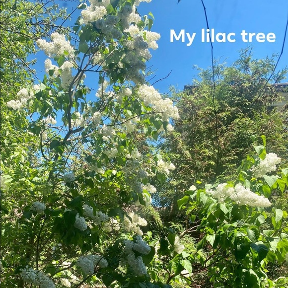 Meet your Posher, Kate - Picture 11 of 17